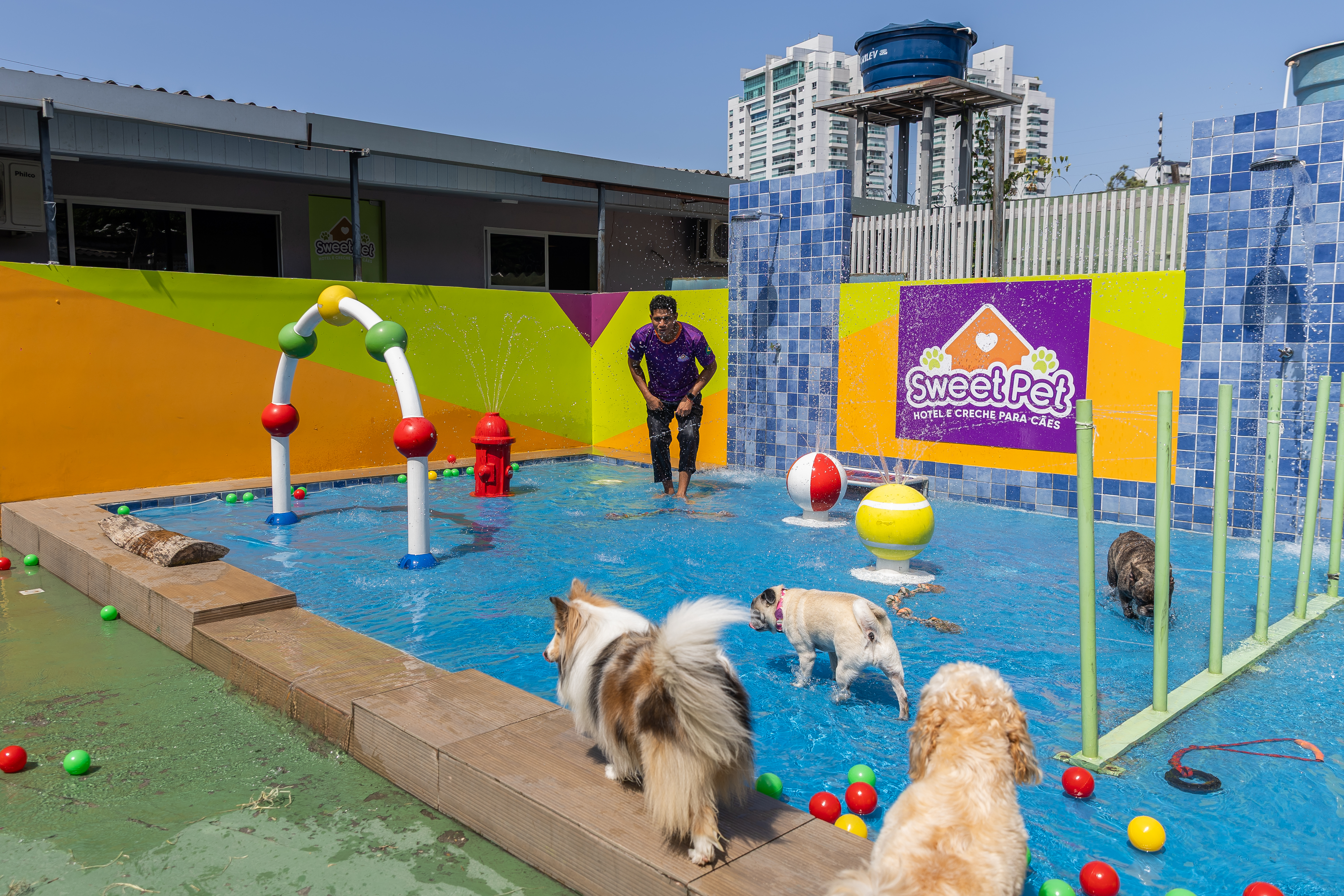 Equipe Sweet Pet brincando com os dogs na água