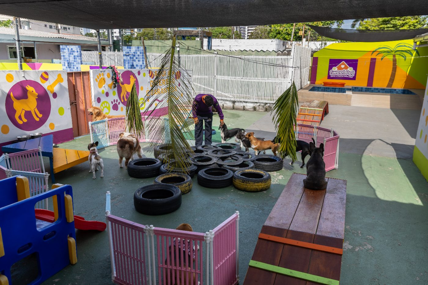 Área de recreação da creche Sweet Pet